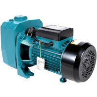 Насос Micul Fermier 1.5KW 45m DP750A (GF-2056)