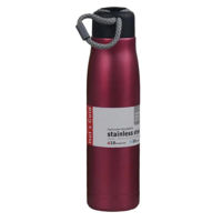 Термос для напитков Daily SJ429-27RD 550ml