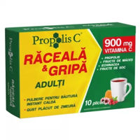 {'ro': 'Propolis C Raceala si Gripa Adulti plic N10 Fiterman', 'ru': 'Propolis C Raceala si Gripa Adulti plic N10 Fiterman'}