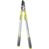 Ножницы садовые TopGarden 402800 LS01 с телескопическими ручками