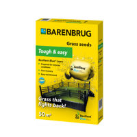 купить Семена для газона Resilient Blue Lawn 1 кг  BARENBRUG в Кишинёве