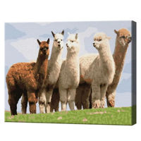 Картина по номерам Art Gallery EX8225 Alpaca 30x40cm Eco