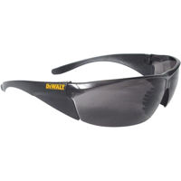Средства индивидуальной защиты DeWalt DPG93-2DEU Ochelari de protectie