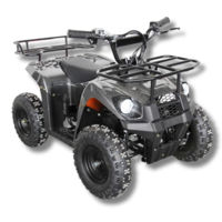 ATV electric pentru copii Hammer 36V 1000W