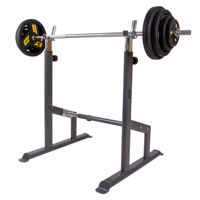 Suport bare reglabil (max. 150 kg) inSPORTline PW30 7249 (9406)