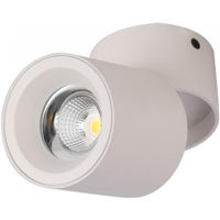 Corp de iluminat interior LED Market Surface angle downlight 30W,3000K, M1821B-30W, White, d100*h190mm
