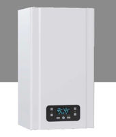 Газовый котёл E.C.A. Gerda 24 kW