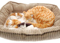 Игрушка Perfect Petzzz 92-17 Jucărie interactivă Pisica cu trei pisicuțe