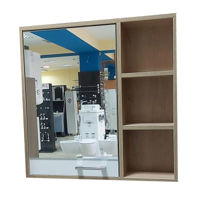 Зеркало для ванной Aquaplus Vicenza 70 cu dulap