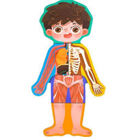 Головоломка miscellaneous 11134 Jucarie din lemn Body Structure 237-1455