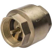 Запорная арматура Ferro Клапан возвратный 2" ZZM6