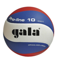 Мяч волейбольный №5 Gala Pro Line 5821 (6515)