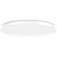 Corp de iluminat interior Yeelight YLXDD-0017 Ceiling Light A2001C450 495mm White 50 Вт, звёздное небо