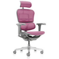 Офисное кресло ART Ergohuman Ultra Pink T-168-B5 EHU-AG-HAM-4D Офисное кресло ART Ergohuman Ultra Pink T-168-B5 EHU-AG-HAM-4D
