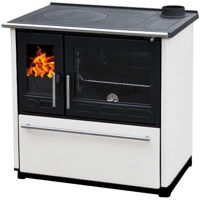 Камин конвекционный Plamen PLAMEN 850 GLAS