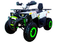 Бензиновый квадроцикл TAO MOTOR 200 New LUX