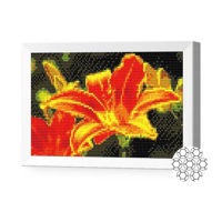 Картина по номерам Art Gallery JS20009 Mozaic cu diamante 20x30cm Crinul aramiu