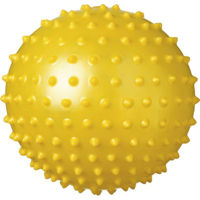 Аксессуар для бассейна Beco 10754 Minge aquaball d=30 cm cu bile 96683