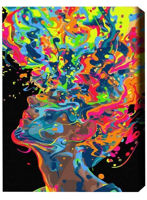 Tablou pe numere BrushMe BSB0030FC (fără cutie) O explozie a creativității