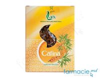 Ceai Larix Catina fructe 75g