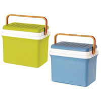 Сумка холодильник GioStyle 38210 Fiesta-20 din masa plastica h13 19,5l