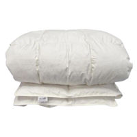 Textile de casă PernaMD 10046 Plapumă din puf 140x205