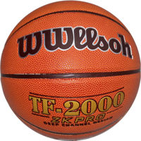Minge Arena basketball  ТF2000