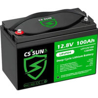 Зарядные устройства и аккумуляторы CS SUN Type-LFP (LiFePo4) Battery 12,8V/100Ah, 1280W