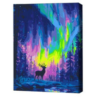 Картина по номерам BrushMe BS54493FC 40x50cm (fără cutie) Aurora polară