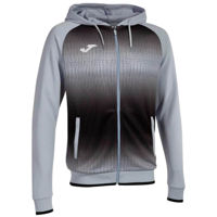 Одежда для спорта Joma Tiger V Zip-Up Hoodie Sky Blue Black (S) 103236.351