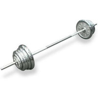 Гантель Arena штанга гриф d-26mm L-180cm блины d-28mm 87 kg металл