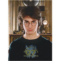 Puzzle Dodo 200576 Puzzle Portretul lui Harry, seria Harry Potter, 450el