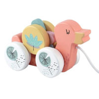 Игрушка каталка Noriel INT4586 Bebe Ratusca pe Rotile