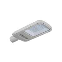 Corp de iluminat stradal led Bridgelux Bridgelux 50 W