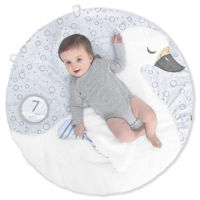 Игровой комплекс для детей Skip Hop 9H836210 Salteluta rotunda Little Swan