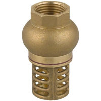 Accesoriu sisteme de încălzire Ferro Sorb cu filtru metalic 1 1/4" ZS3K