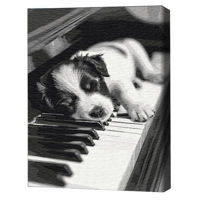 Tablou pe numere BrushMe BS54066 40x50 cm (în cutie) Melodia somnului