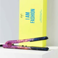 купить Pyt - Ceramic Styling Tool в Кишинёве