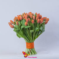 купить Оранжевые голландские тюльпаны поштучно в Кишинёве