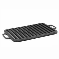 PLASA DIN FONTA TM SYTON, PENTRU GRILL, 360X260MM