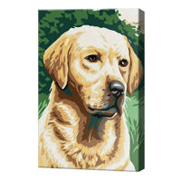 Картина по номерам Art Gallery CX3801 20x30cm Labrador