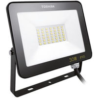 Прожектор Toshiba 00172838 Светодиодный прожектор IP65 30 Вт, 4000 К (черный)