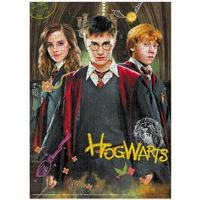 Головоломка Dodo 200498 Puzzle Harry și prieteni, seria Harry Potter, 250el