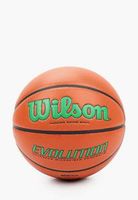 Мяч баскетбольный №7 Wilson EVOLUTION 295 GR WTB0595XB0701 (4578)