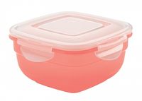 Container BYTPLAST 4311573 Safe-Food (1 L)