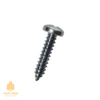Саморез cамонарезающий с выпуклой головкой по металлу 4.2x13 mm
