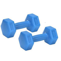 Ganteră Promstore 44865 Set de haltere XQMAX 2x1kg, ciment, albastru