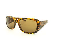 Oliviero Contini - OS7013 C27