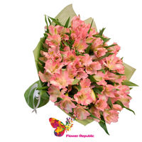 Buchet «Alstroemeria blândă»