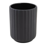 Стакан для зубных щёток Axentia 138532 Pahar pentru perii de dinti Saiton, sur